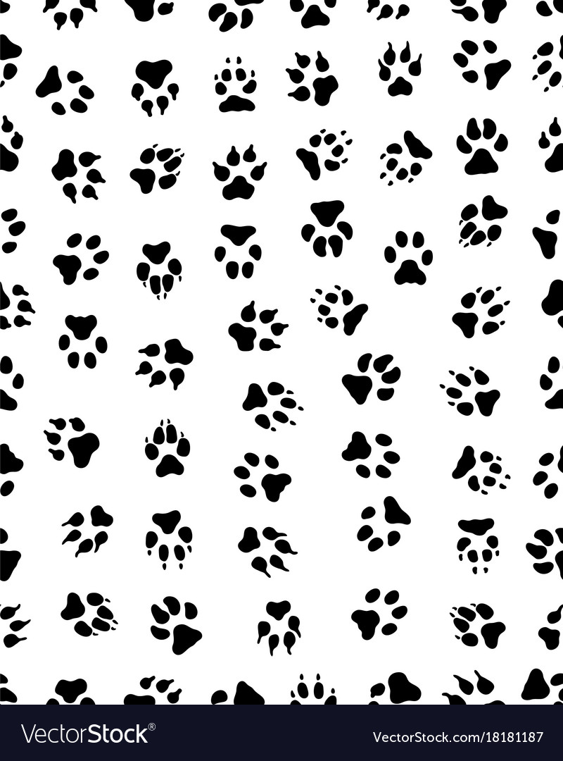 Prints dog paw Royalty Free Vector Image - VectorStock