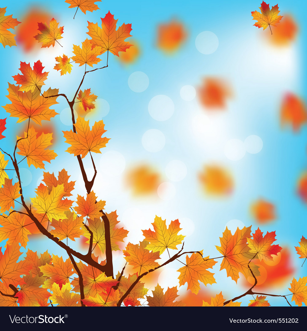 Autumn leaves Royalty Free Vector Image - VectorStock