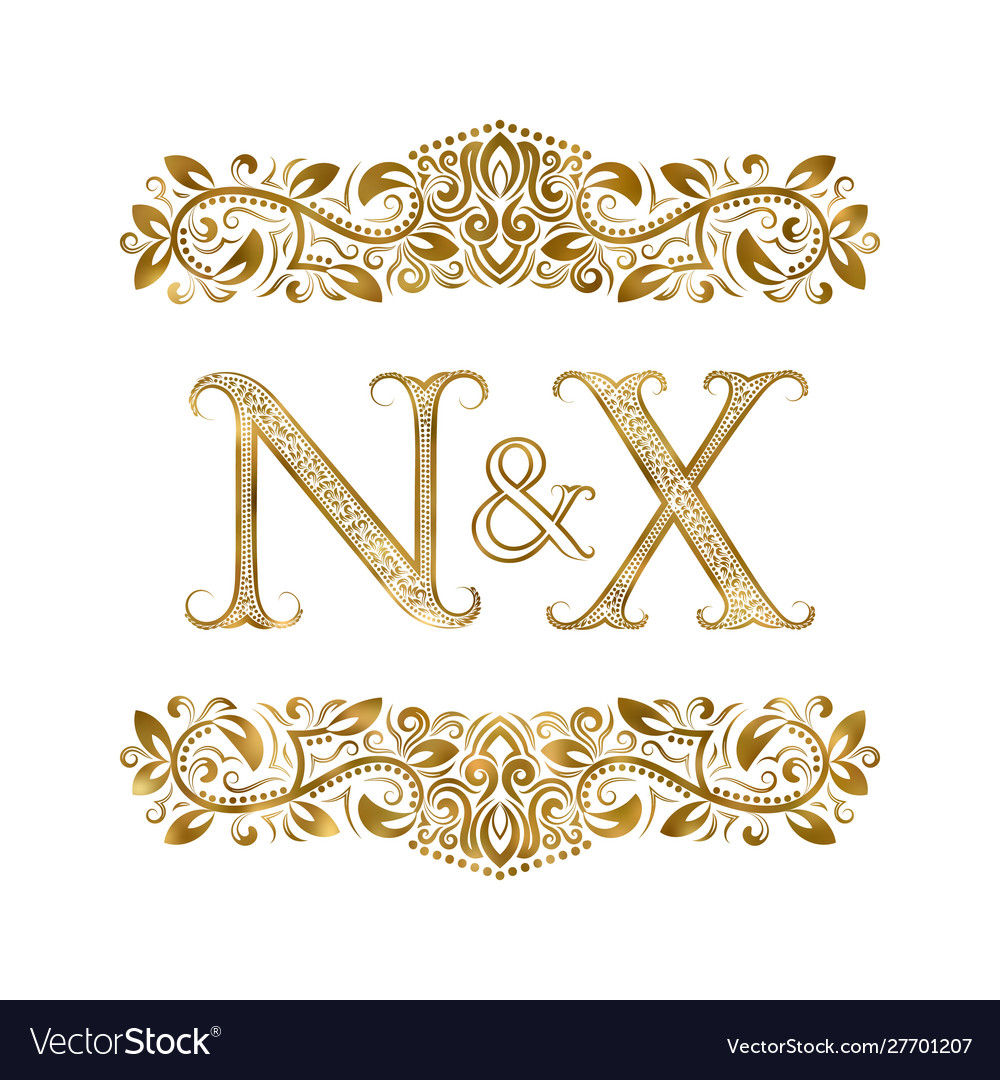 N and x vintage initials logo symbol letters Vector Image