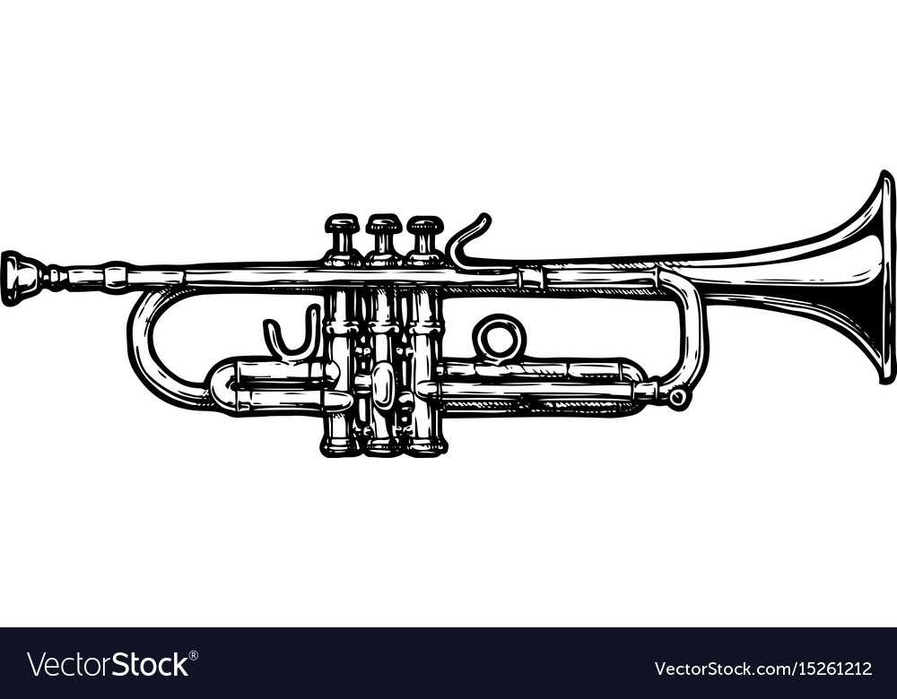 Trumpet Royalty Free Vector Image Vectorstock