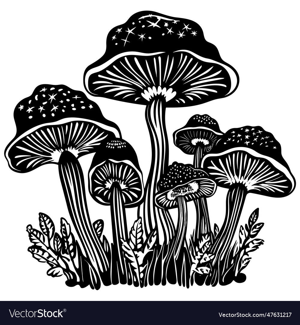 Mushrooms black and white Royalty Free Vector Image