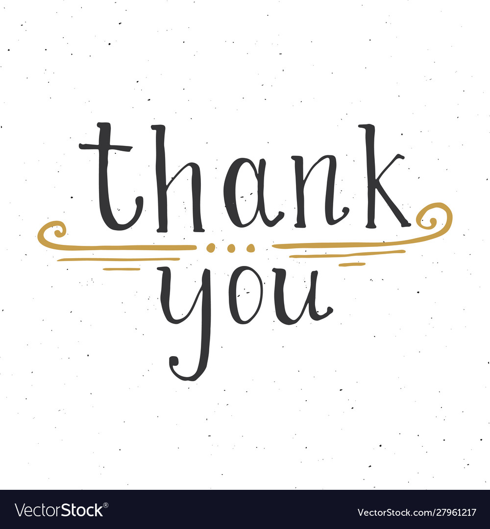 Thank you lettering quote hand drawn calligraphic Vector Image