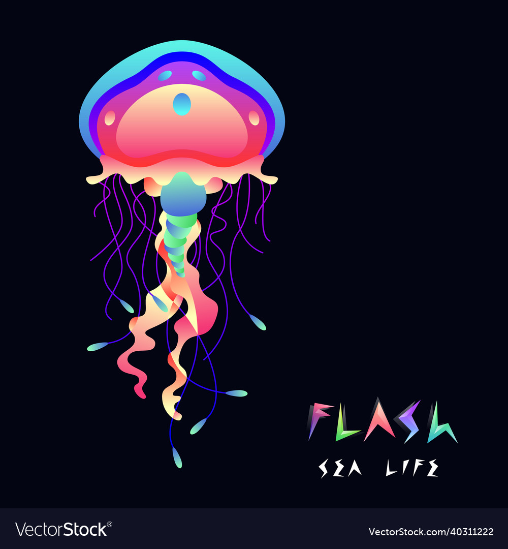 Flash jellyfish Royalty Free Vector Image VectorStock