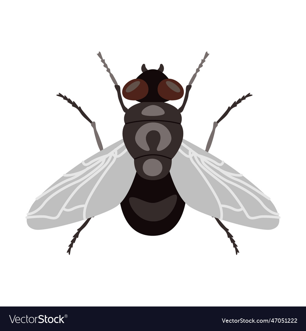 Learning to fly Royalty Free Vector Image - VectorStock