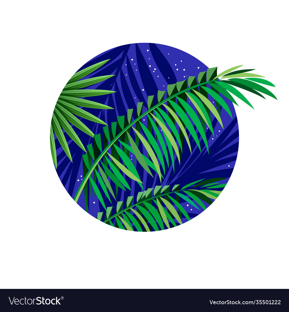 Palm leaves silhouette tropical Royalty Free Vector Image