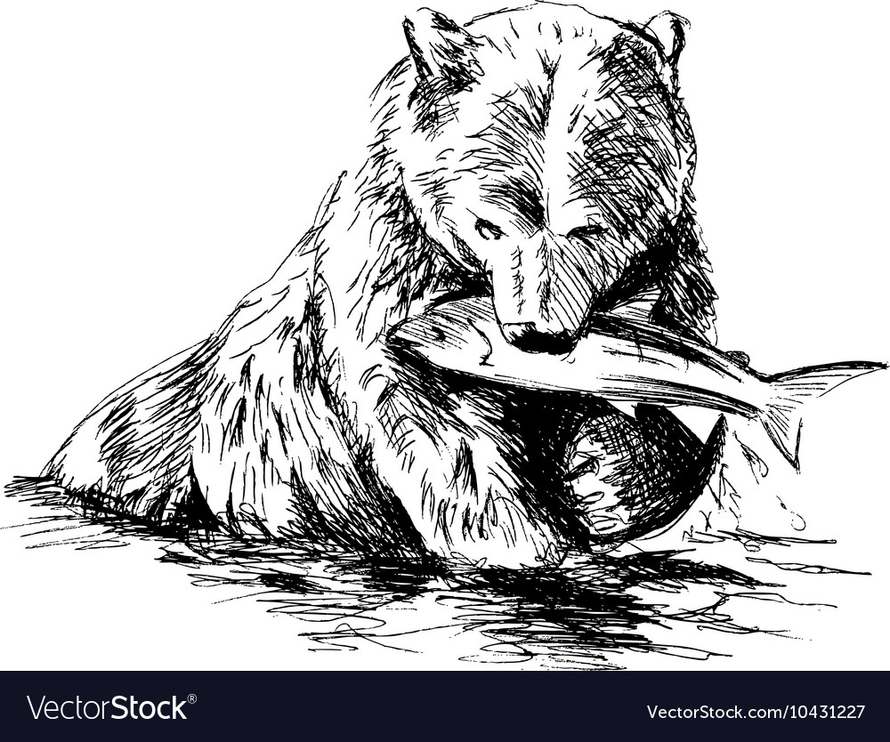 Hand sketch bear catching fish Royalty Free Vector Image