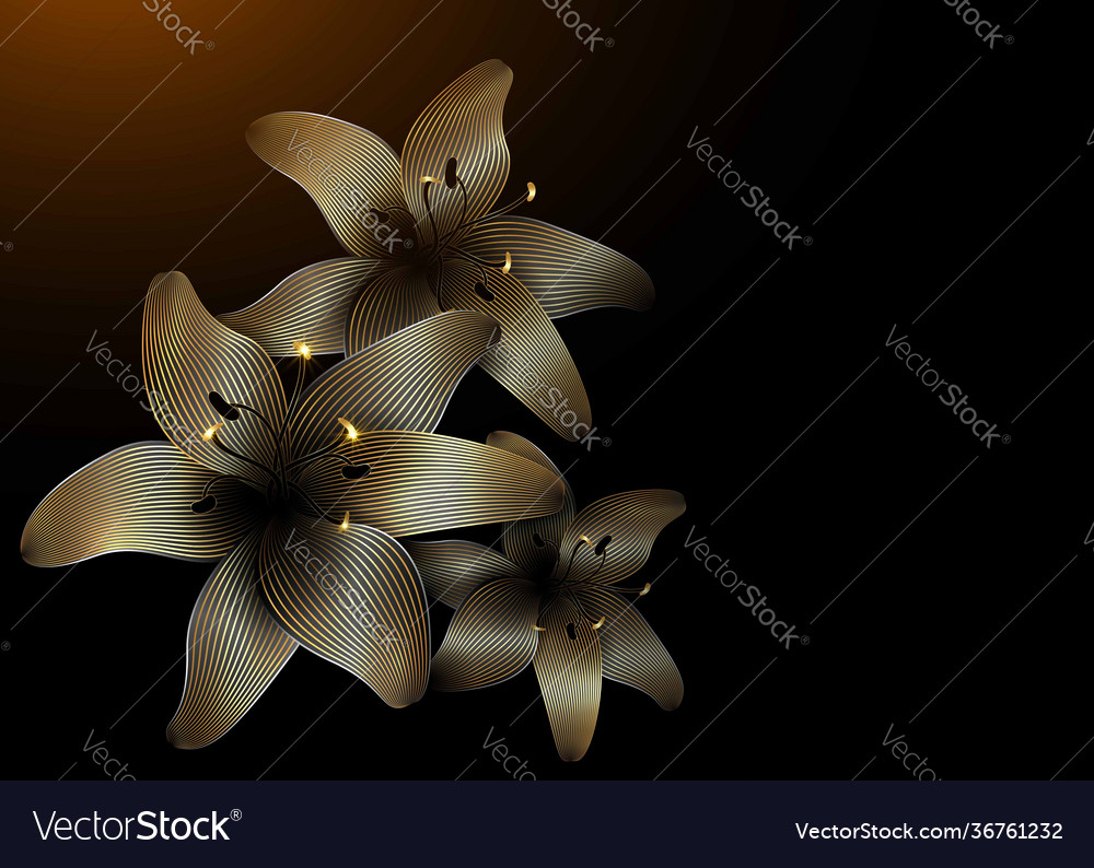 Gold lily flowers isolated on black backdrop retro vector image Gold lily flowers isolated on black backdrop retro
