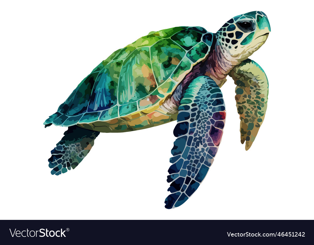 Watercolor sea turtle Royalty Free Vector Image