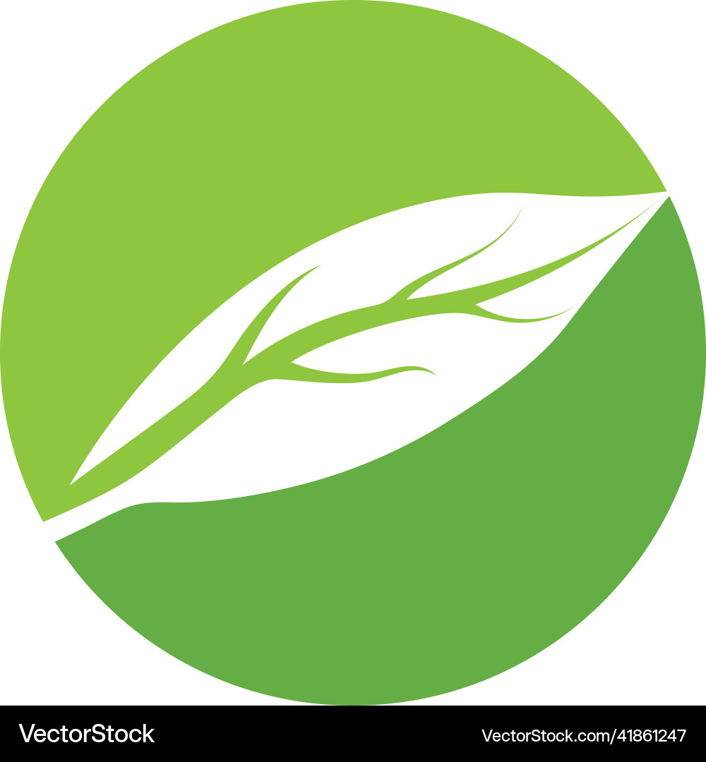 Eco tree leaf Royalty Free Vector Image - VectorStock