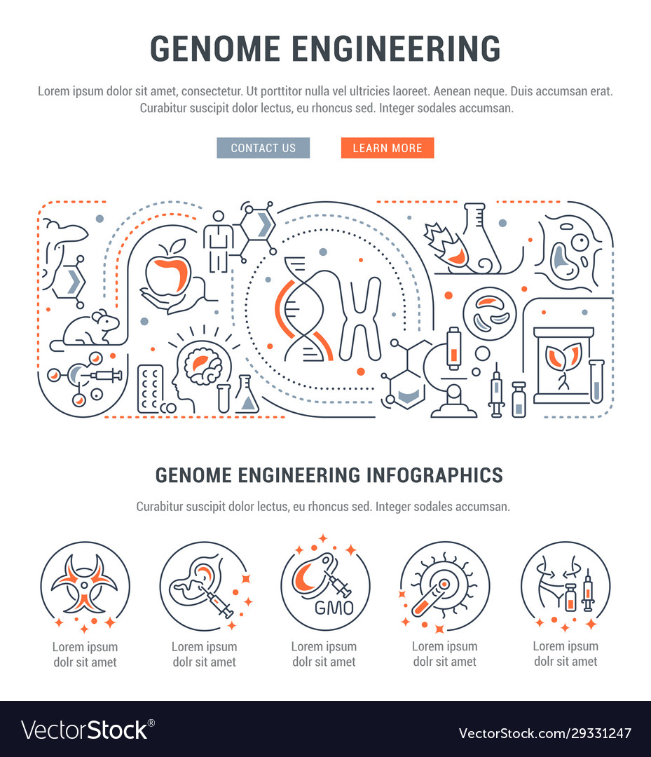 Linear Banner Genome Engineering Royalty Free Vector Image