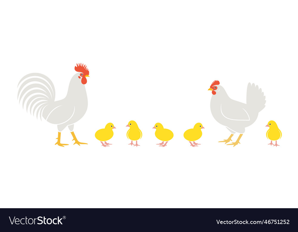 Chicken Royalty Free Vector Image Vectorstock Chicken Royalty Free Vector Image Vectorstock