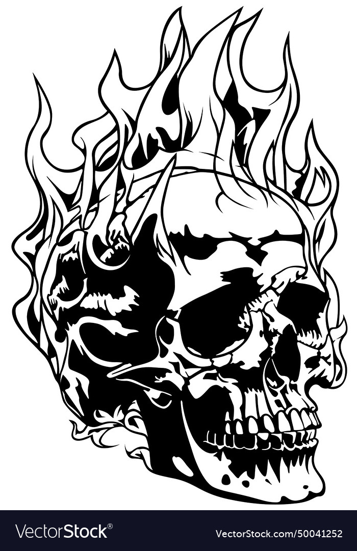 Drawing of human skull with flames Royalty Free Vector Image