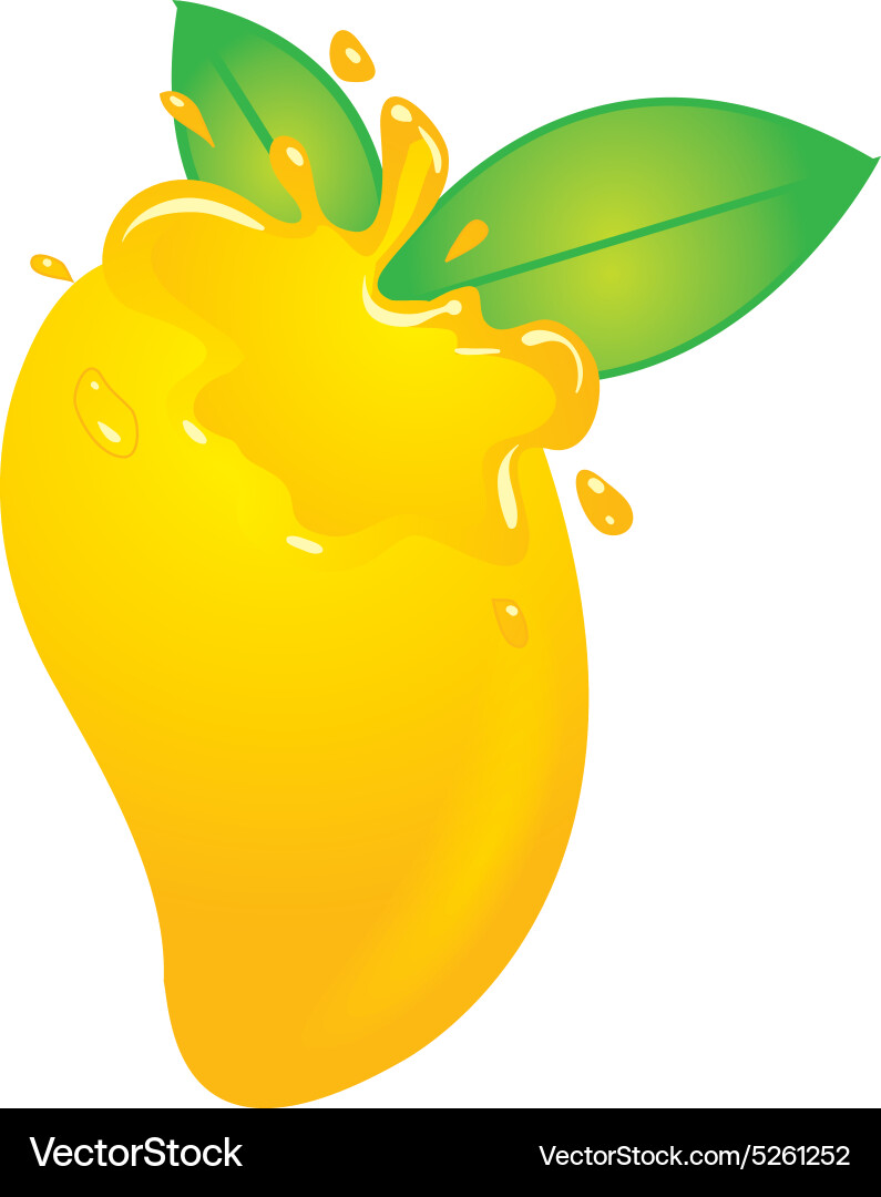 Mango logo Royalty Free Vector Image - VectorStock