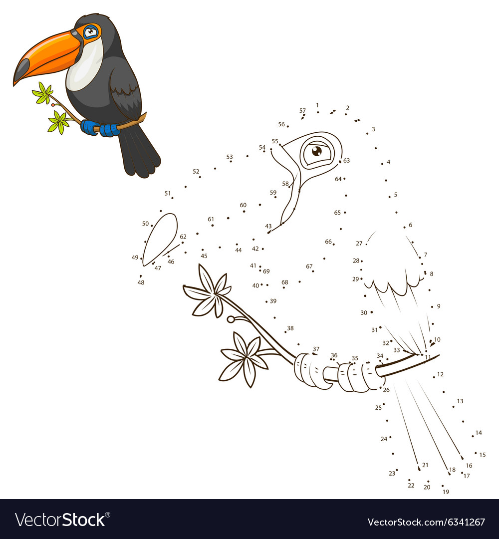 Draw the animal toucan educational game