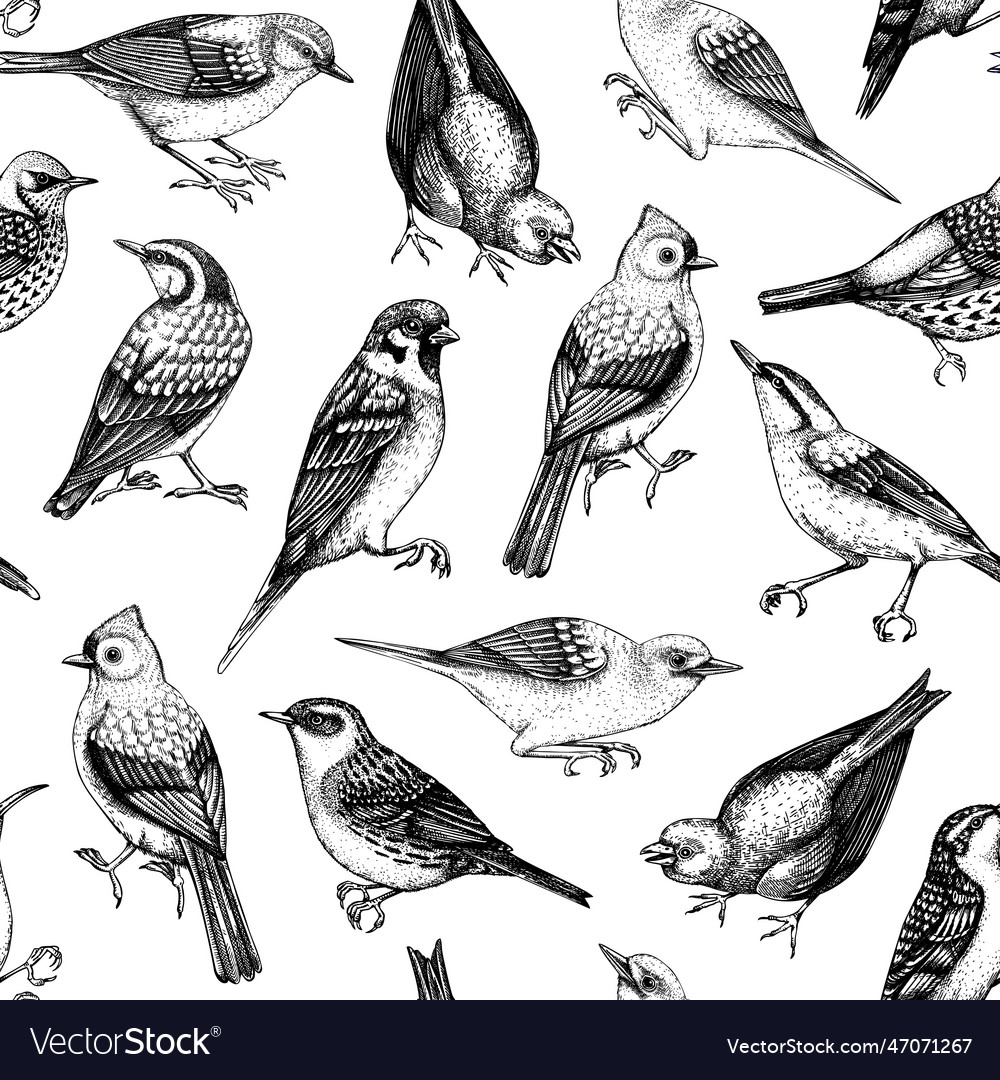 Hand drawn birds seamless pattern in engraved Vector Image