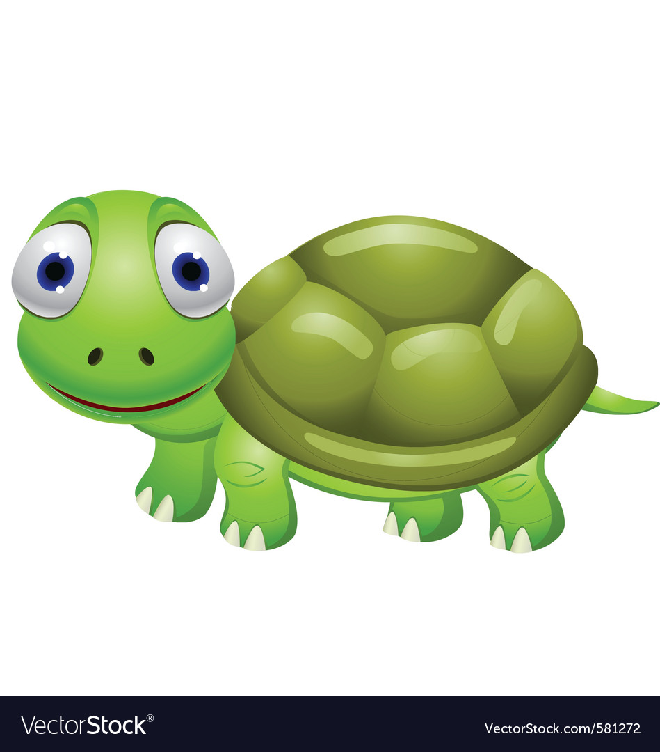 Turtle cartoon Royalty Free Vector Image - VectorStock