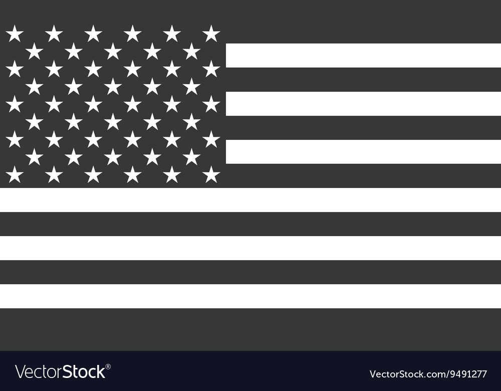 American National official political flag Vector Image