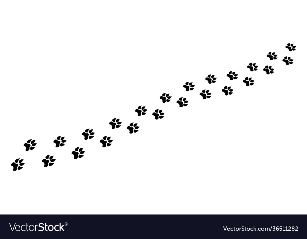 Footprints chain large animal clipart powerful Vector Image