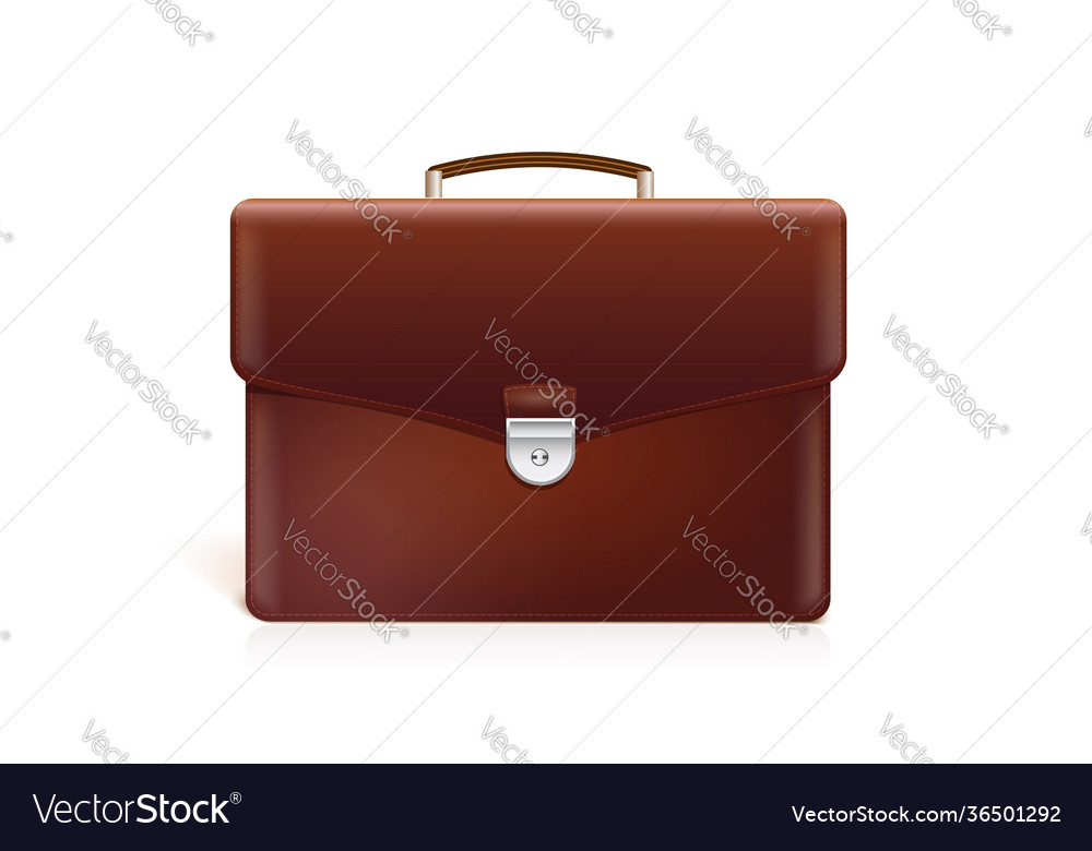 Briefcase isolated on white background 3d Vector Image