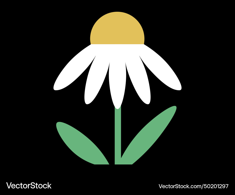 Spring flower the blooming flowers represented Vector Image