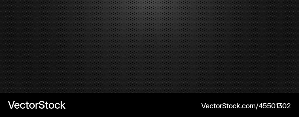 Black background perforated metal texture Vector Image