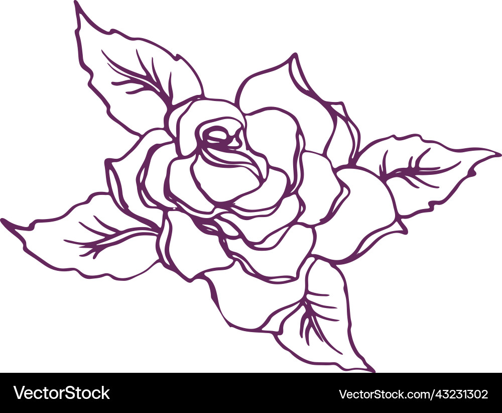 Rose flower line art in realistic style image Vector Image