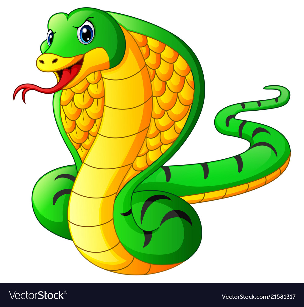 Cobra snake cartoon Royalty Free Vector Image - VectorStock