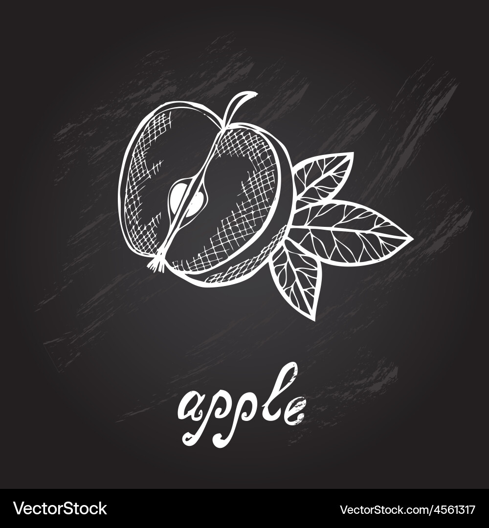 Hand drawn fruit Royalty Free Vector Image - VectorStock