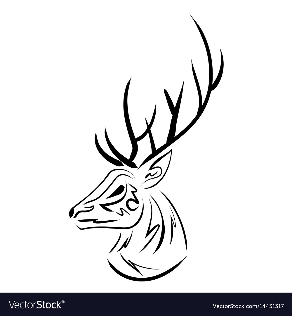 Handdrawn sketchy deer head contour Royalty Free Vector