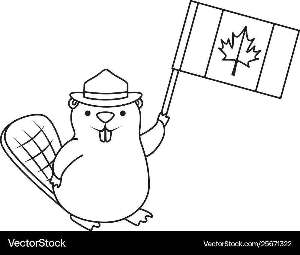 Beaver with ranger hat and canadian flag Vector Image