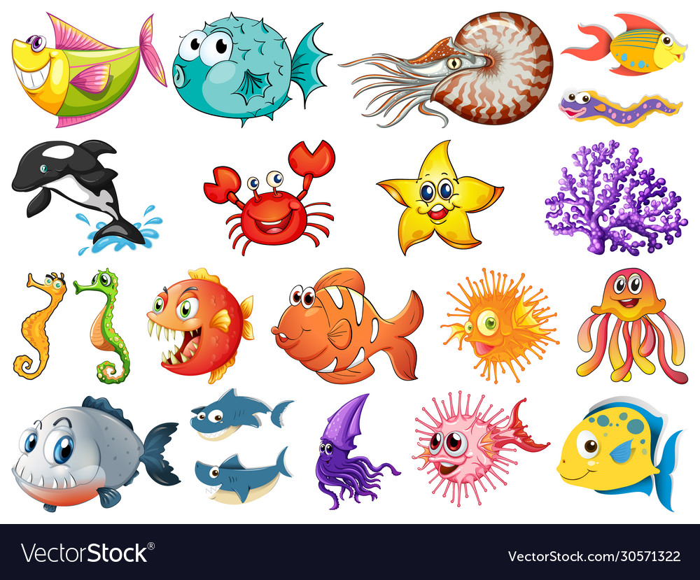 Large set sea creatures on white background Vector Image