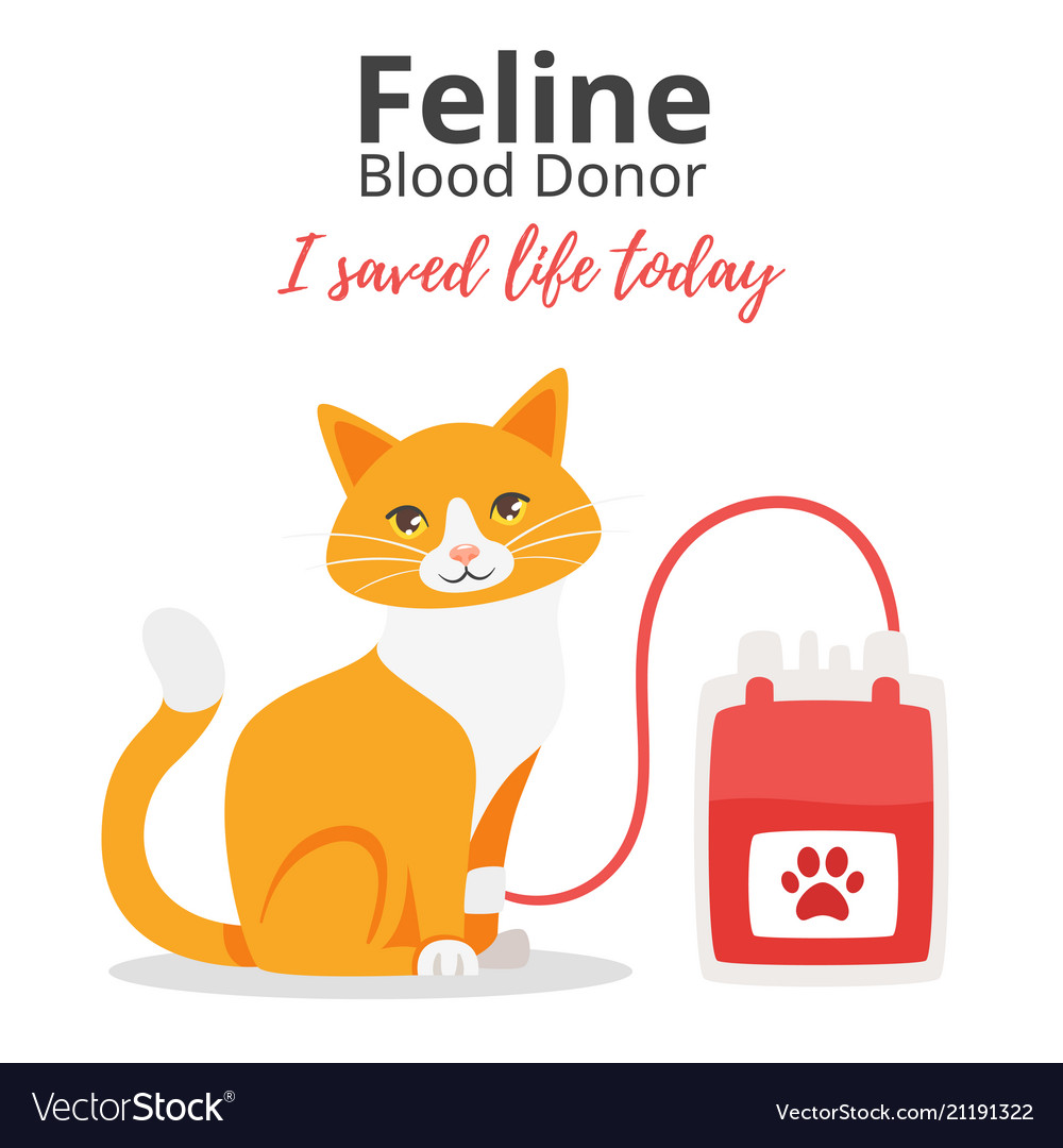 Pet Donor Concept Royalty Free Vector Image Vectorstock