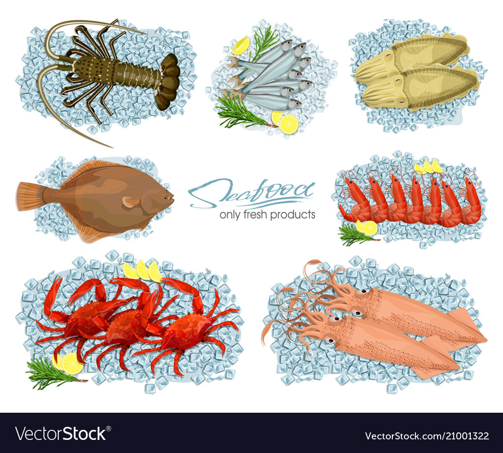 Seafood In Cartoon Style Royalty Free Vector Image | My XXX Hot Girl