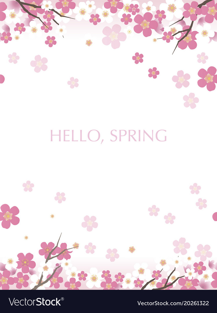 Seamless cherry blossom background Royalty Free Vector Image