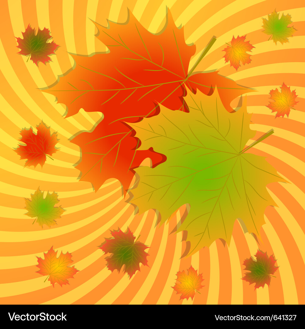 Autumn maple leaves background Royalty Free Vector Image