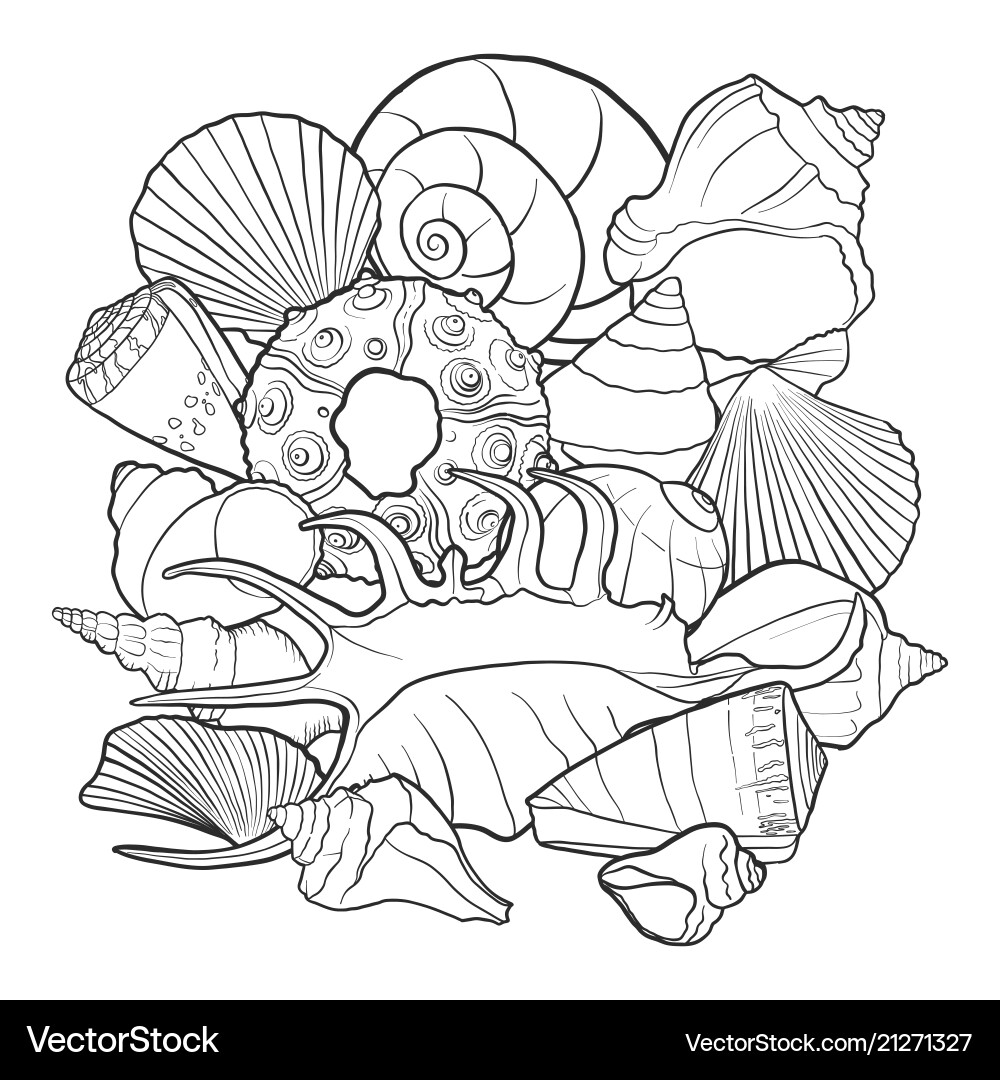 Background with seashells Royalty Free Vector Image