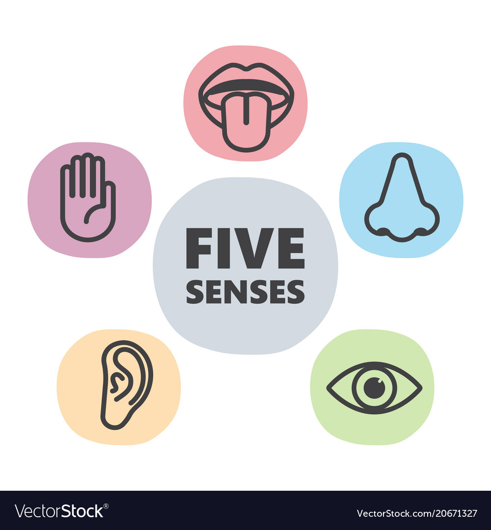 Icon set of five human senses Royalty Free Vector Image