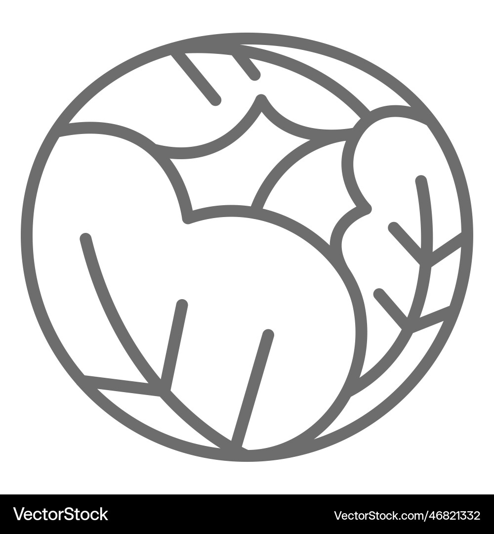 Cabbage icon Royalty Free Vector Image - VectorStock