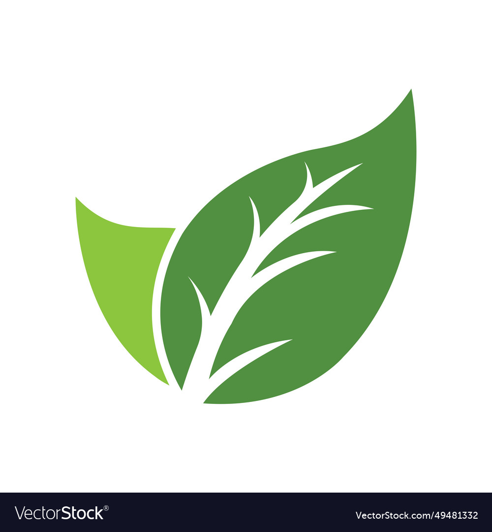 Fresh leaf logo Royalty Free Vector Image - VectorStock