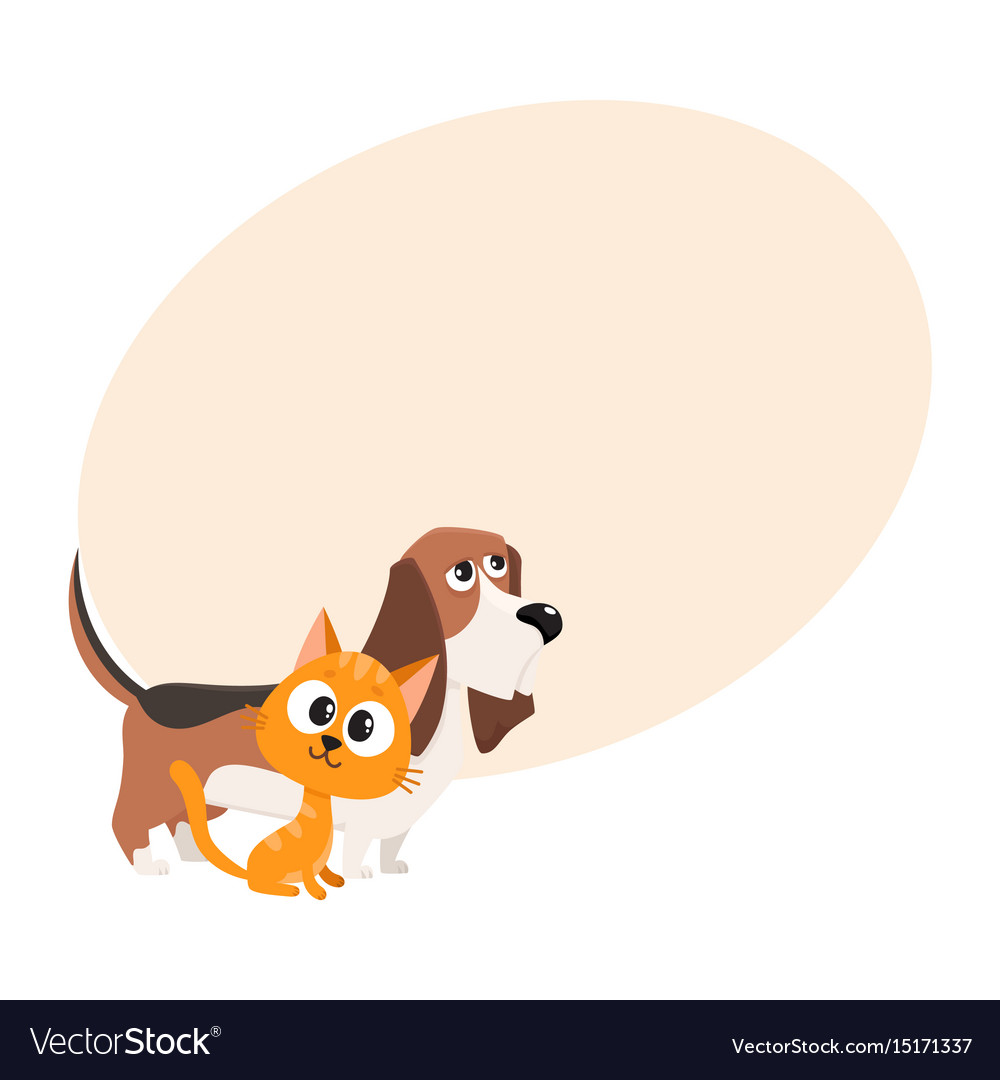 Basset hound dog and red cat kitten characters