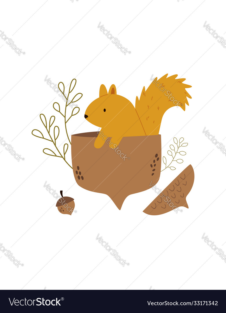 Cute squirrel sitting in an acorn autumn scene vector image Cute squirrel sitting in an acorn autumn scene