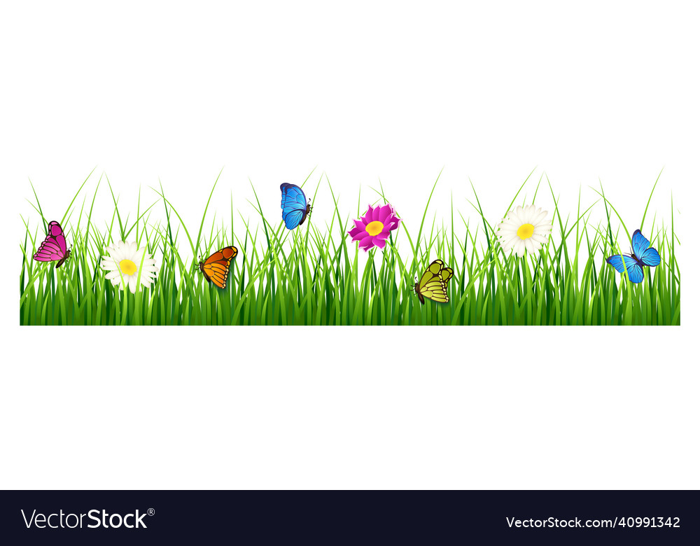 Meadow grass with flowers and butterflies Vector Image