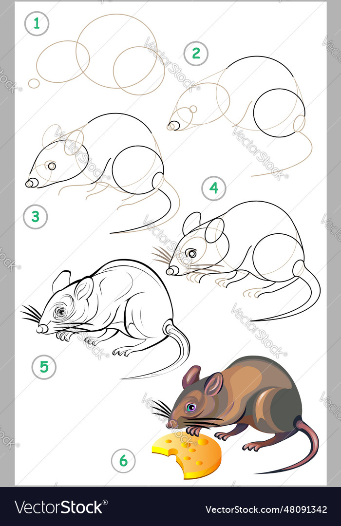 Page shows how to learn step by step to draw a Vector Image