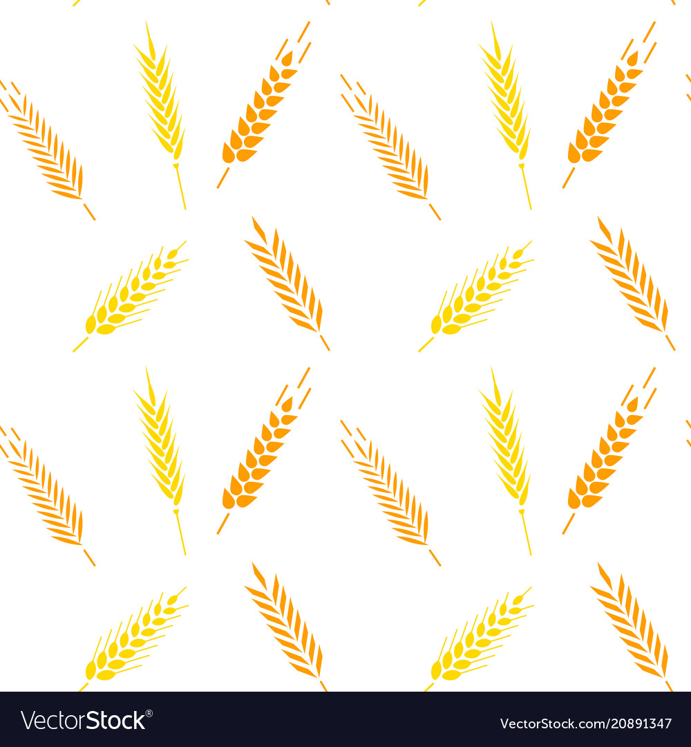 Whole grain natural organic background Royalty Free Vector