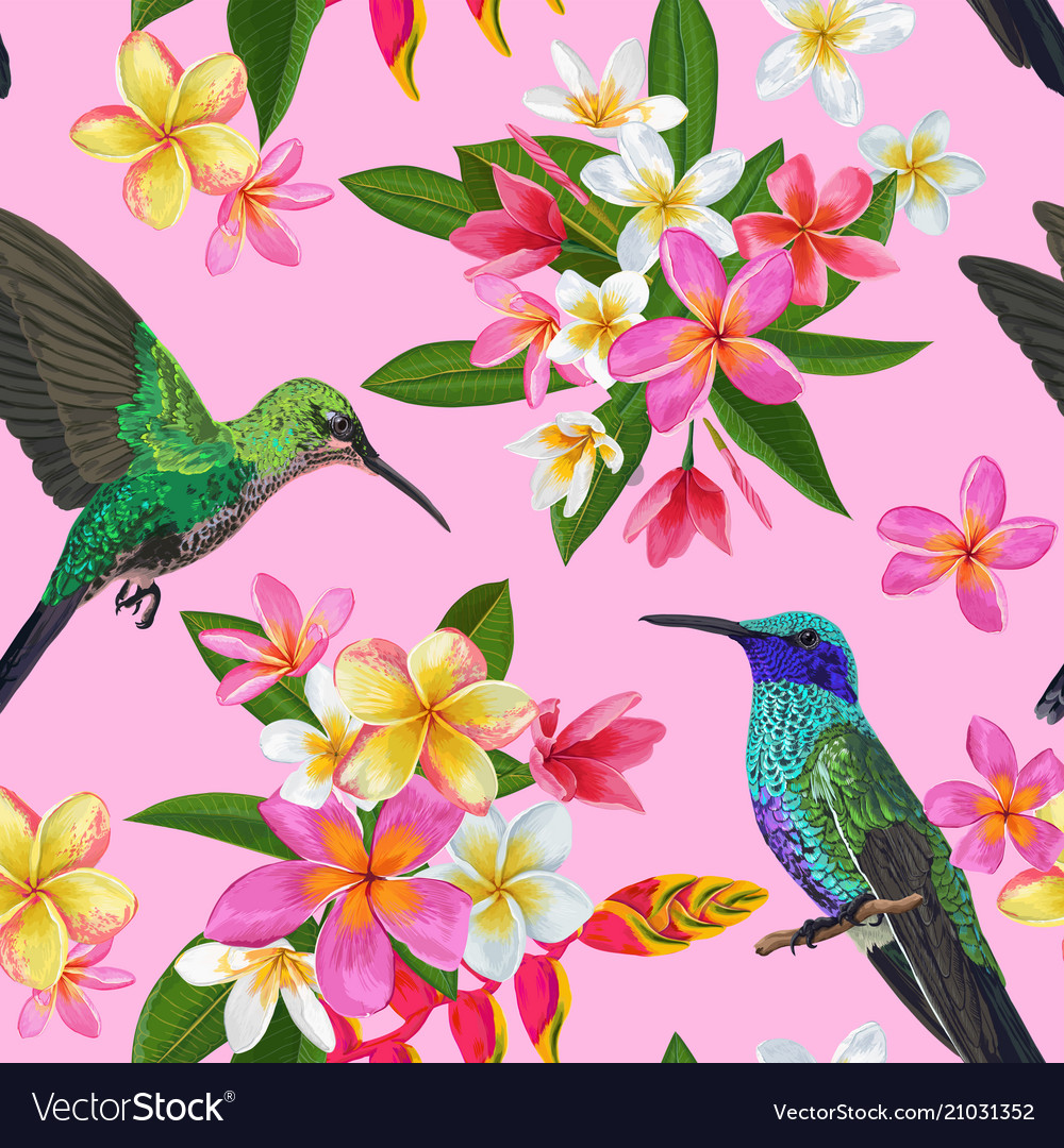 Floral tropical seamless pattern with hummingird vector image Floral tropical seamless pattern with hummingird