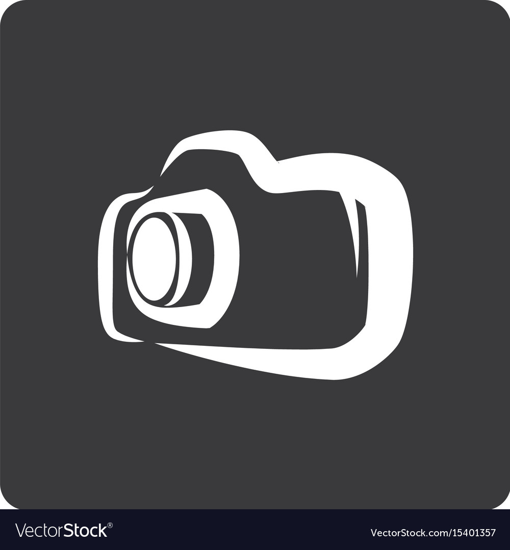 Professional photographic camera Royalty Free Vector Image