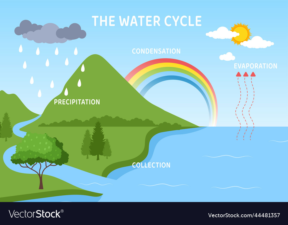 evaporation water cycle