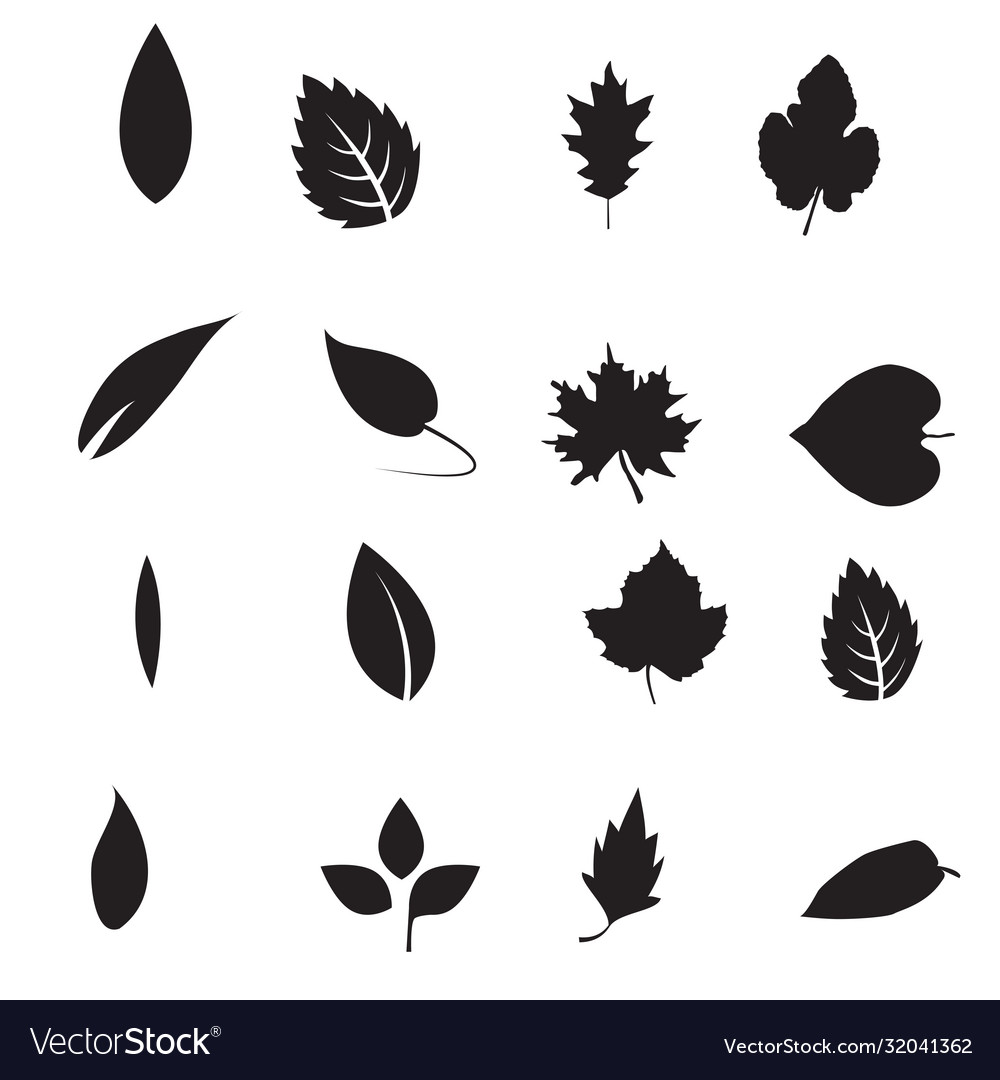 Leaf icon icon icon Royalty Free Vector Image - VectorStock