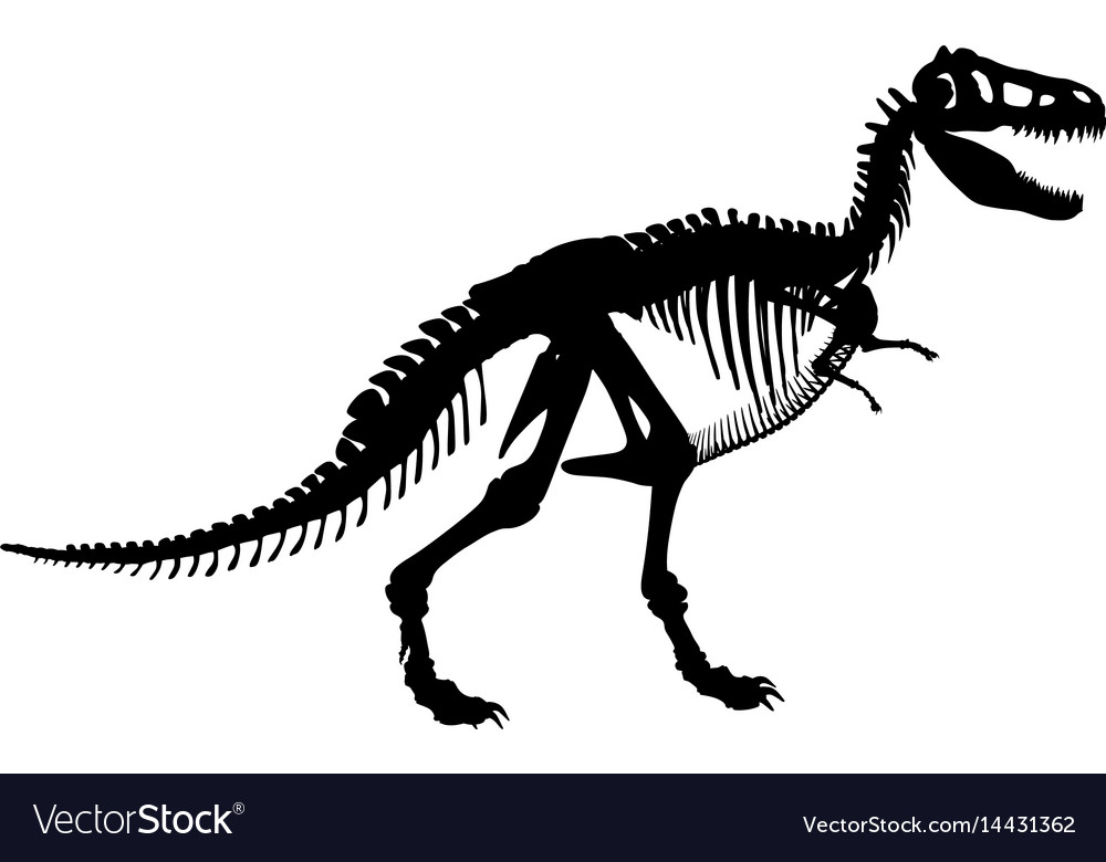 T rex skeleton Royalty Free Vector Image - VectorStock