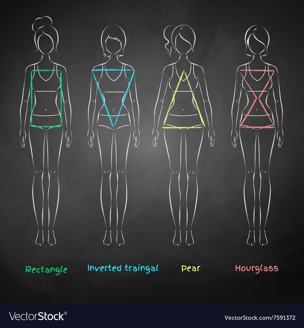 Female body types Royalty Free Vector Image - VectorStock